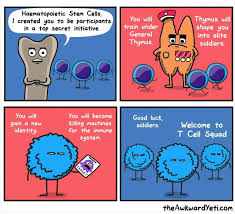 T Cell Squad Awkward Yeti Funny Comics Funny Pictures