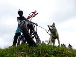 Read reviews from world's largest community for readers. Husky Fatbike Les Reussilles Berner Jura Tourismus Schweiz Winteraktivitat