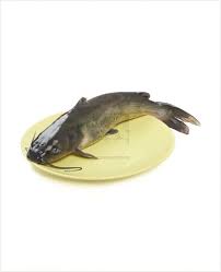 Technical revolution has already occurred, robots, the internet. Fish