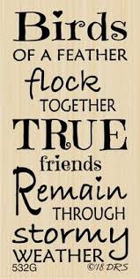 Birds Of A Feather Saying Birds Of A Feather Friends Greeting 532g Morning Quotes For Friends Bird Feathers Southern Sayings