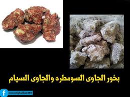 يستخدم بخور الصندل في المساجد والكنائس بكثرة لأن الرائحة العطرية التي تنبعث من احتراق البخور قريبه للروح وتزيد الشعور ب in 2021 health facts food organic health food