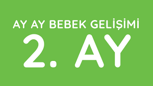 2 aylik bebek gelisimi youtube