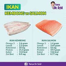Ikan salmon merupakan jenis ikan yang baik untuk diet karena mengandung sumber lemak sehat yang selain membakar lemak, daging ikan salmon juga berkhasiat dalam menjaga kesehatan kulit. Esok Harga Ikan Kembung Naik Rupanya Lagi Berkhasiat Dari Ikan Salmon