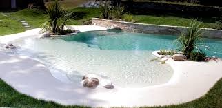 Pin By Tabitha Dailey On Pools In 2020 Pool Patio Natural Swimming Pool Beach Entry Pool