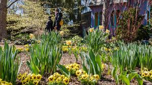 When you purchase blooming plants from avas flowers, you can send them most places nationwide courtesy of our affiliation with local florists across the country. Home New York Botanical Garden