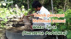 Bonsai Jibon Seni Bertani Bonsai Accueil Facebook