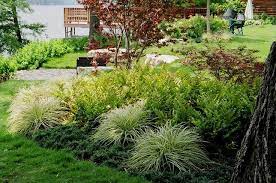 Mondo Grass Under Japanese Maple Google Search Japanese Landscaping Shade Plants Front Yard Landscaping