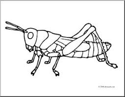 Discover thanksgiving coloring pages that include fun images of turkeys, pilgrims, and food that your kids will love to color. Clip Art Insects Grasshopper Coloring Page I Abcteach Com Abcteach