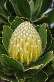 Pin On Natural Wonders