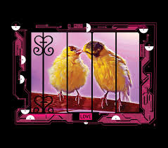 Bildergebnis für Kelly Heaton