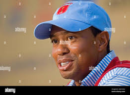 Woods tiger hi-res stock photography and images