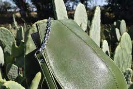 Have to be leveled up to match the users' needs. Vegan Leather Made From Cactus Is Planned To Put An End To Animal Cruelty Interestingasfuck