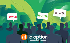 Pin On Iq Option Wiki Indo