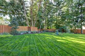 What Is Hydroseeding Affordable Alternative For Planting Grass Landscaping Network