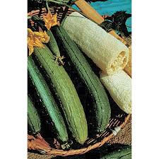 Image result for Luffa