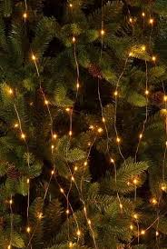 Copper wire led lights, which have emerged to great fanfare in the past few. 200 Amber Branch Dew Drop Copper Wire Led Lights Collective Home Store