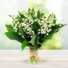 Plutôt que de passer des heures en forêt à rechercher ce fameux brin à treize clochettes, j'ai décidé de vous l'envoyer sous la forme d'une carte papier. 1er Mai 50 Brins De Muguet