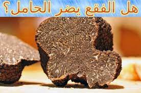 هل الفقع يضر الحامل truffles chocolate cookie chocolate