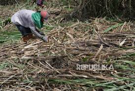 8 jenis rezeki dari allah. Mencari Rezeki Tidak Lepas Dari Ibadah Pada Allah Republika Online