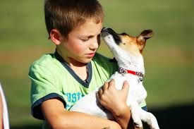 Check spelling or type a new query. How Emotional Support Animals Help Adhd