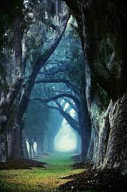 Foto pemandangan full hd download wallpaper pemandangan dengan kualitas hd 1080px background pemandangan alam terindah di dunia gambar pemandangan tercantik gratis download the best nature wallpaper in the world wallpaper pemandangan keren terbaru untuk desktop. Wallpaper Pemandangan Alam Hd For Android Apk Download