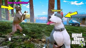 Yavru Pitbull Egitimli Dobermanla Bogusuyor Gta 5 Youtube