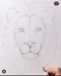 Pin By Cynthia Bourque On Toiles Animal Drawings Sketches Lion Painting Art Drawings Sketches Creative