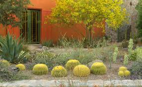 Often, it's pictured as a like all living things, cacti need water to survive. Sustainable Residential Design Improving Water Management Asla Org