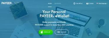 نتیجه تصویری برای ‫خرید دلار payeer‬‎