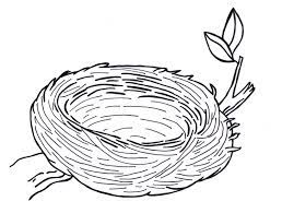 Birds in a nest coloring page twisty noodle. Pin On Drawing Art