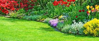 Garten gestalten: Ideen, Tipps & mehr