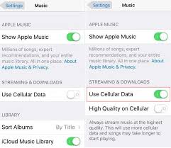 Fixed Apple Music Not Downloading Songs Issue Imobie Inc