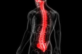 Scientists repair spinal cord injuries using patients' stem cells