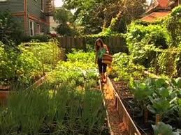 5 Tips For Turning Your Backyard Into A Farm That Can Feed Your Entire Family Backyard Farming Backyard Farmer Fenced Vegetable Garden