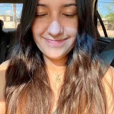 Annual Tree Lighting! The City's favorite holiday tradition will return for  another year at the 2024 Old Town Holiday Stroll