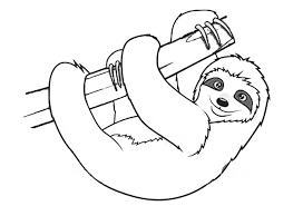 Cute sloth in forest coloring page for adults shutterstock. Cute Sloth Coloring Page Free Printable Coloring Pages For Kids