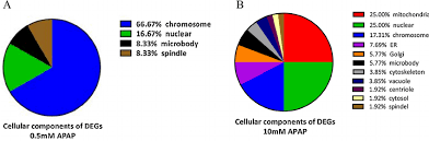 pie chart representation of gene ontology go mappings for