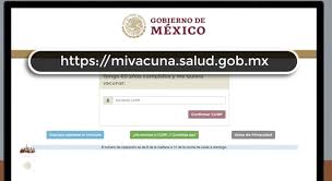 Algunos periodistas reportaron sus intentos para intentar registrar a sus familiares. Mexico Ya Tiene Un Sitio Web Para Que Adultos Mayores Se Registren Para Obtener La Vacuna Contra Covid Asi Funciona
