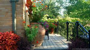 Talk about low maintenance but high impact! Beautiful Beautiful House And Garden Pictures Desktop Background