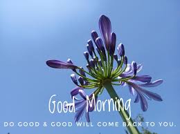 Check spelling or type a new query. 196 Words Good Morning Flowers Photos Free Royalty Free Stock Photos From Dreamstime