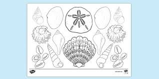 Children's coloring pages online allow your child to. Free Seashell Colouring Page Colouring Teacher Made