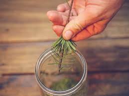 With pine needles found in the forest, some thick waxed thread, needles, pliers, a paper straw, and lots of patience and practice, marina piro from the. Cozy Up With Pine Ice Cream From Sweden S Gastrologik