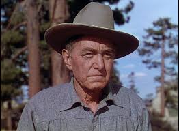 The Shepherd of the Hills Blu-ray