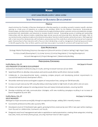 How to write a resume. Vice President Of Business Development Resume Example Guide 2021