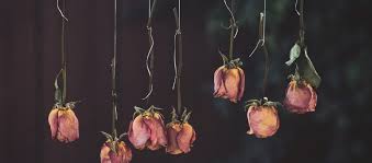 Hier erfahren sie, wie lange es dauert und wie sie holz am besten lagern. Blumenstrauss Richtig Trocknen Garta