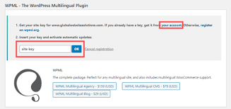 How To Automatically Translate Wordpress Easy Method In 2020 Wordpress Plugins Wordpress Admin Woocommerce
