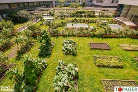 Pas Besoin De Jardin Des Potagers Sur Les Toits De Nos Immeubles Jardins Sur Les Toits Potager Jardins