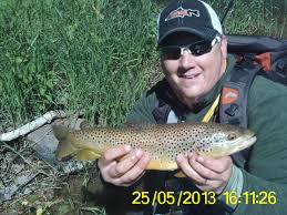 Wild Penns Creek Brown Fly Fishing Fly Fishing Fish Brown