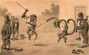 Internal Consistency - Can I Train Monkeys To Fight With Knives  Effectively? - Worldbuilding Stack Exchange