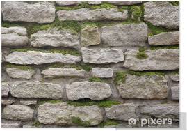 We did not find results for: Poster Vieux Mur De Pierre Couverte Par Une Mousse Pixers Nous Vivons Pour Changer